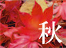 秋